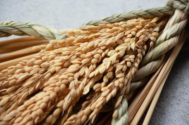 山から福がおりてくる しめ飾り 末広出芽繁栄