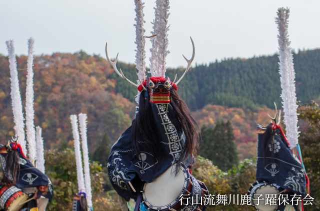手ぬぐいシャツ 小田中耕一 縁日 鹿踊