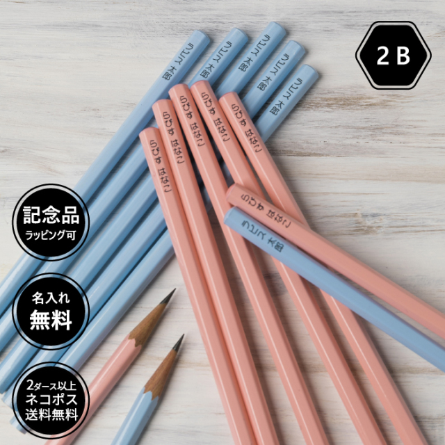 鉛筆 名入れ パステルカラー鉛筆 2b 卒園 記念品 オリジナル えんぴつ ブルー ピンク 鉛筆 名入れ パステルカラー鉛筆 2b 卒園 記念品 オリジナル えんぴつ ブルー ピンク
