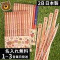 ウッディねーむ鉛筆 赤鉛筆＋赤青鉛筆セット