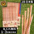 ウッディねーむ鉛筆 赤鉛筆＋赤青鉛筆セット