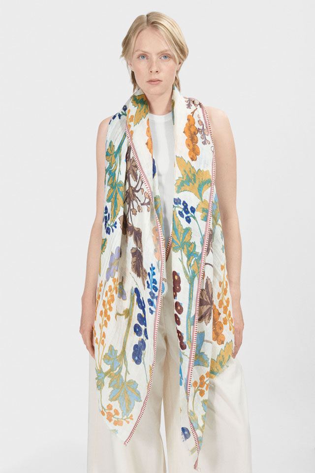 [FLORAL]  北欧の様々なベリー（古い植物図鑑）  BOTANICA   PS2473