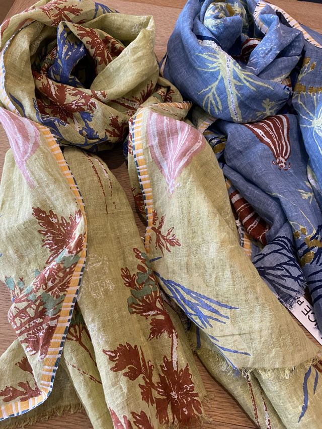 FLORAL] デンマークの古い植物図鑑 FLORA DANICA PS2372