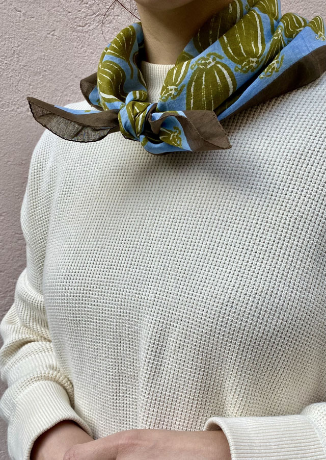 FLORAL] デンマークの古い植物図鑑 FLORA DANICA *スクエア型