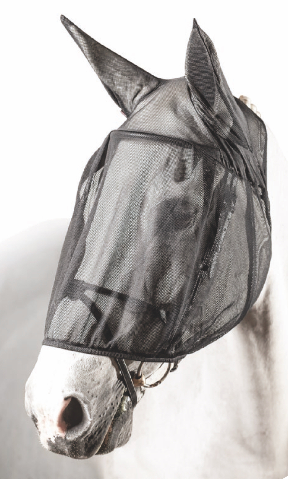 【定番商品】EQUILINE FLY (エクイライン フライマスク)