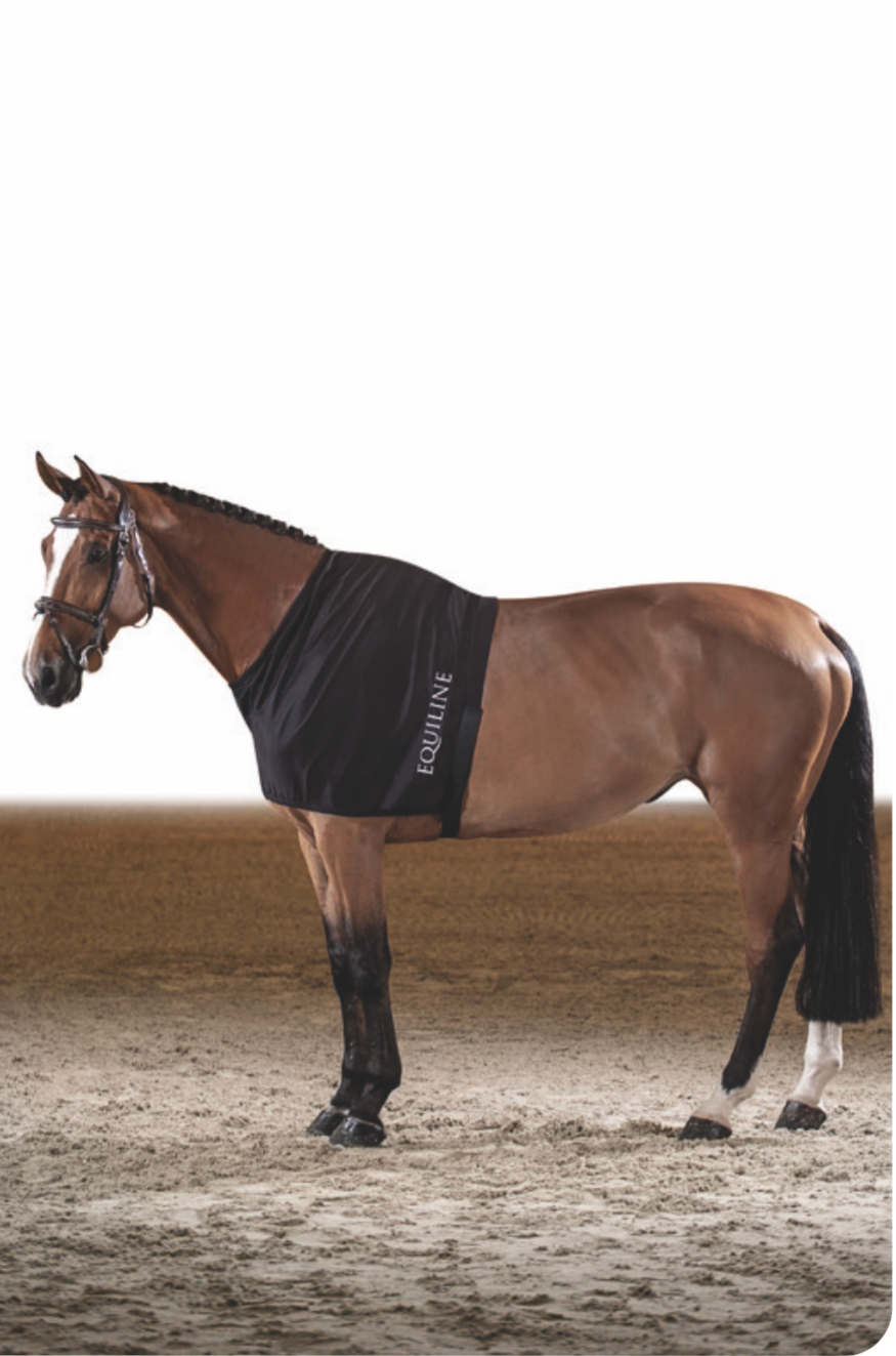 【定番商品】EQUILINE Edinburgh(エクイライン プロテクティブ ビブ)
