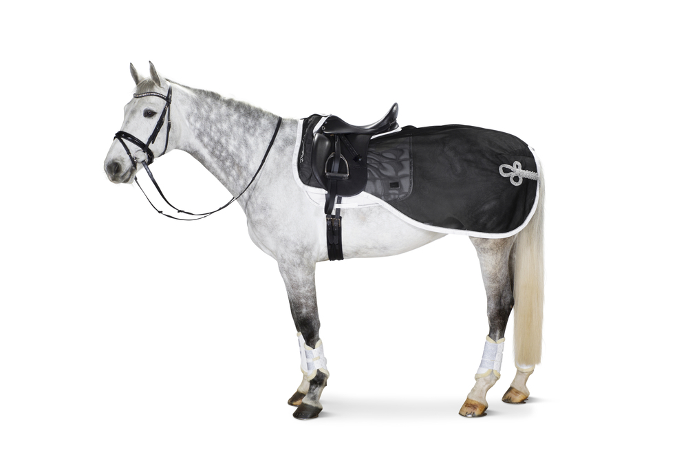 ◆ SALE ◆ ESKADRON Flyrug Exercise (エスカドロン・エクササイズフライシート)