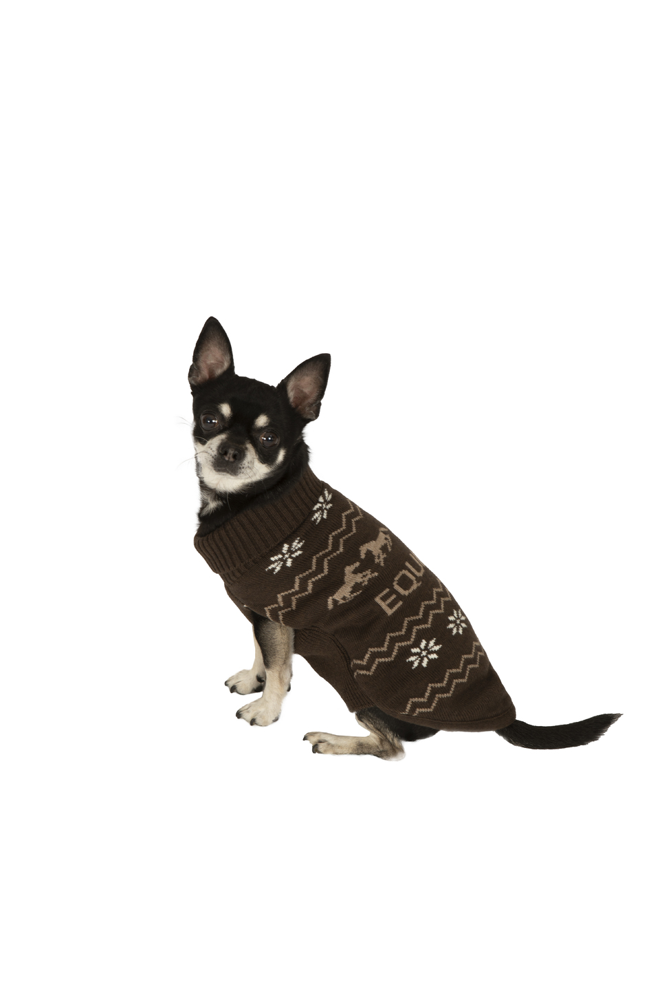 ● NEW！● EQUILINE MARLEEN・エクイライン ニットドッグウエア（シーズンコレクション限定デザイン)