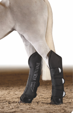 【定番商品】EQUILINE Rex (エクイライン 輸送用ブーツ)