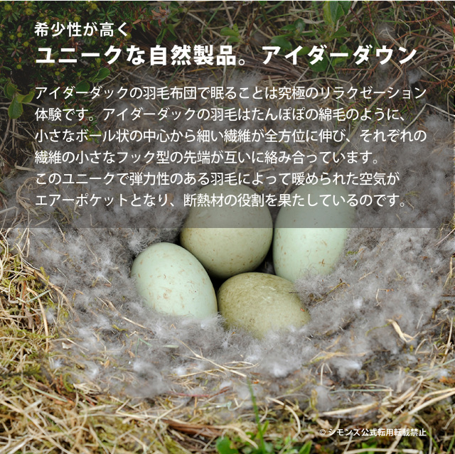 コンフォーター ICELANDICアイダーダウン シモンズビューティレスト神宮前