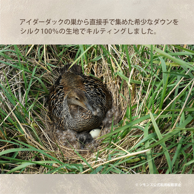 コンフォーター ICELANDICアイダーダウン シモンズビューティレスト神宮前