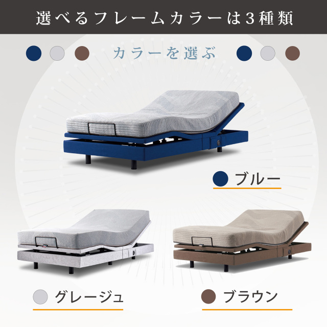 ハナダシティジムのカスミ、エクストラレギュレーションボックス ポケモンカードゲーム BW/XY「エクストラレギュレーションBOX