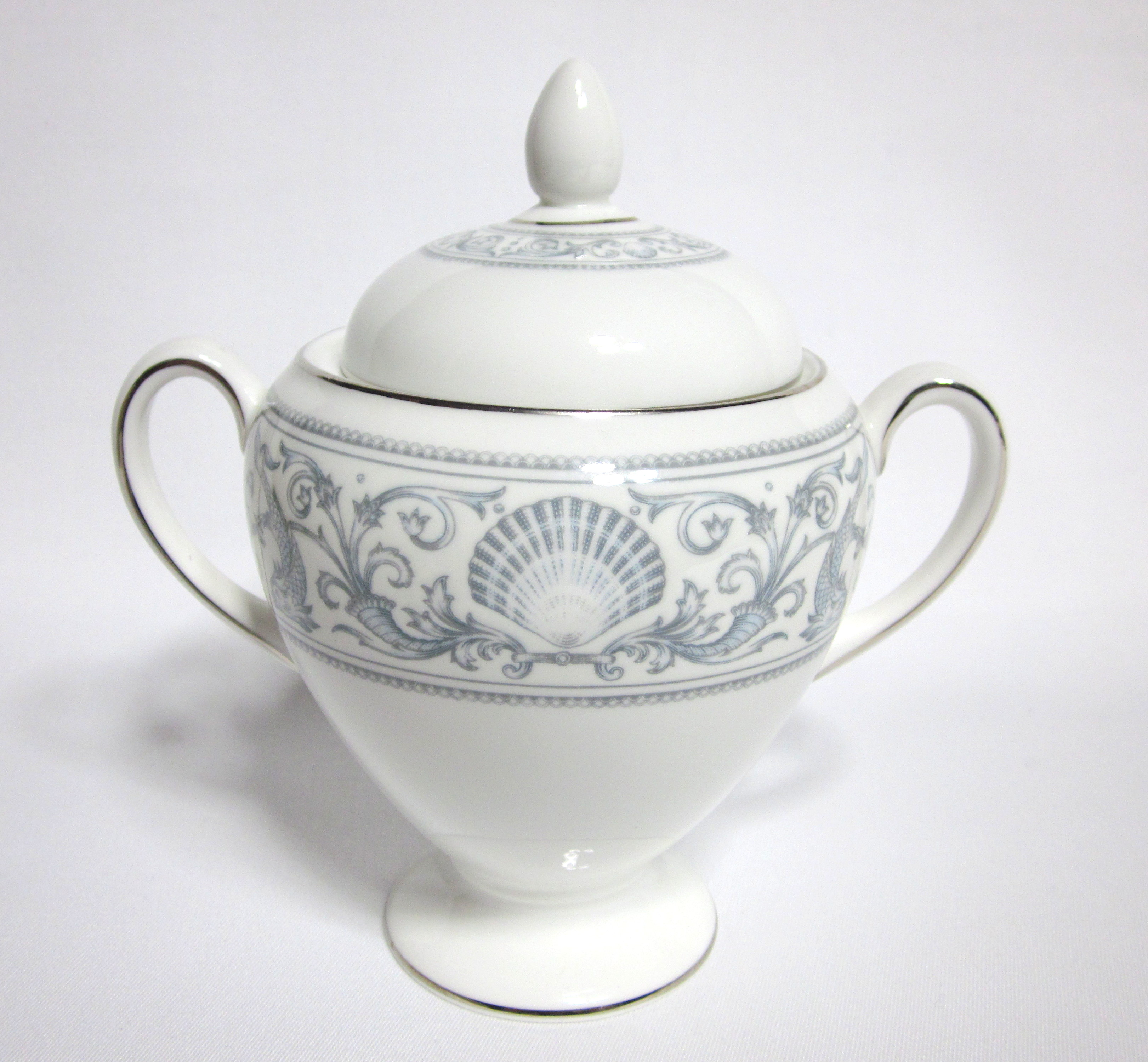 ドルフィンホワイト