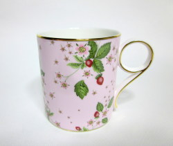 ワイルドストロベリーブルーム