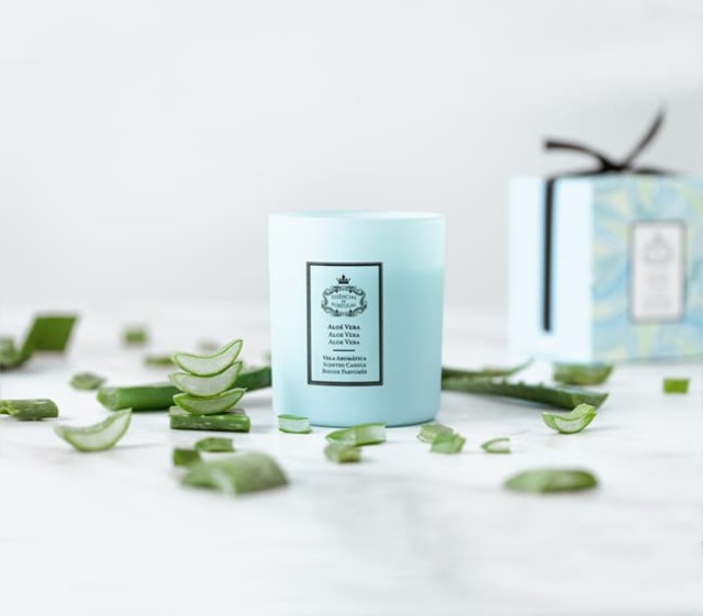 ENNOY アロマキャンドル ソイキャンドル 180g / アロマ NATURA エッセンシスデポルトガル