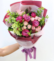 hanpu001