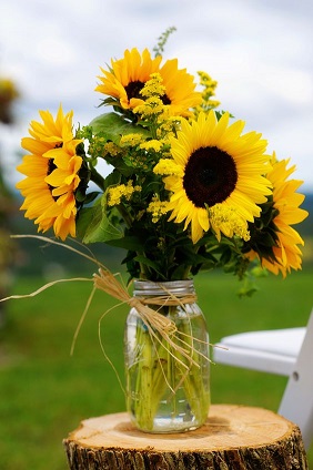 xyz