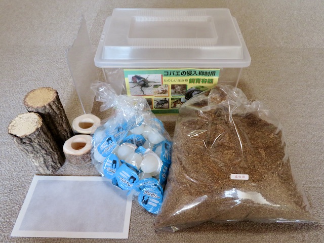 初めての方に最適！クワガタ飼育用品フル装備スターターセット（生き物は別売りです）