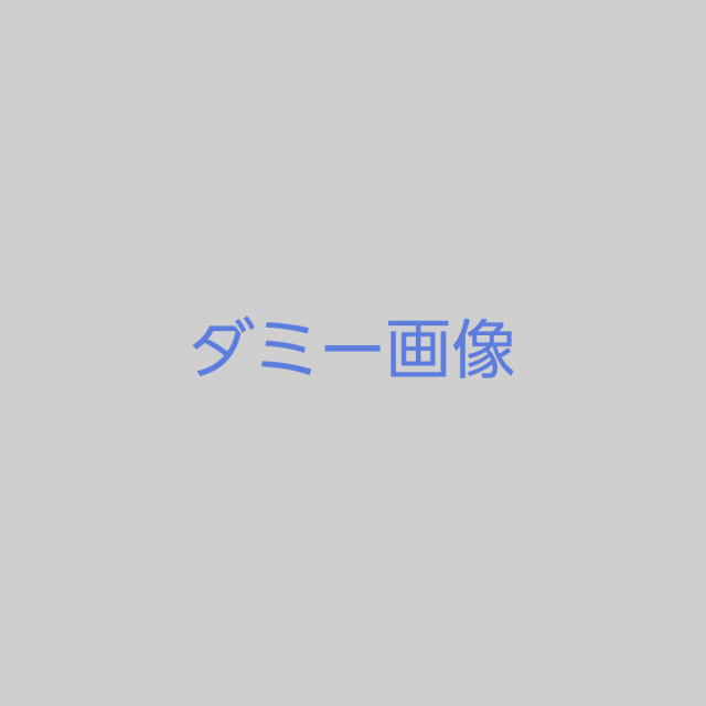 オーダーメイド障子紙