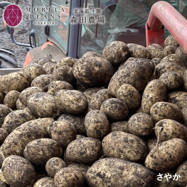 北海道産 じゃがいも（さやか） 8kg 農家直送 小豆らいふ 森田農場