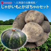 北海道産じゃがいも５kgとかぼちゃ1個のセット　農家直送　送料無料