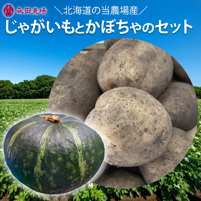 北海道産じゃがいも５kgとかぼちゃ1個のセット　農家直送　送料無料