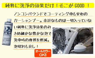 マイエターナル　カーシャンプー