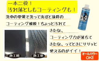 マイエターナル　プロテクトコンディショナー