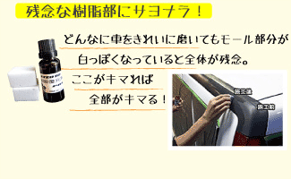 マイエターナルETE010樹脂復元剤プロ