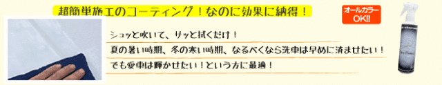 マイエターナル　イージープロテクト