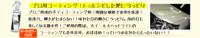 マイエターナル　プロファインプロテクト