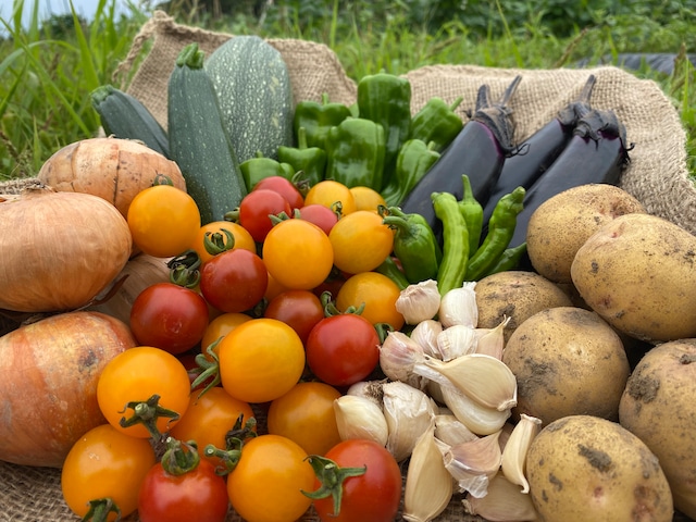 北海道！夏の自然栽培野菜セット(ファミリーパック)