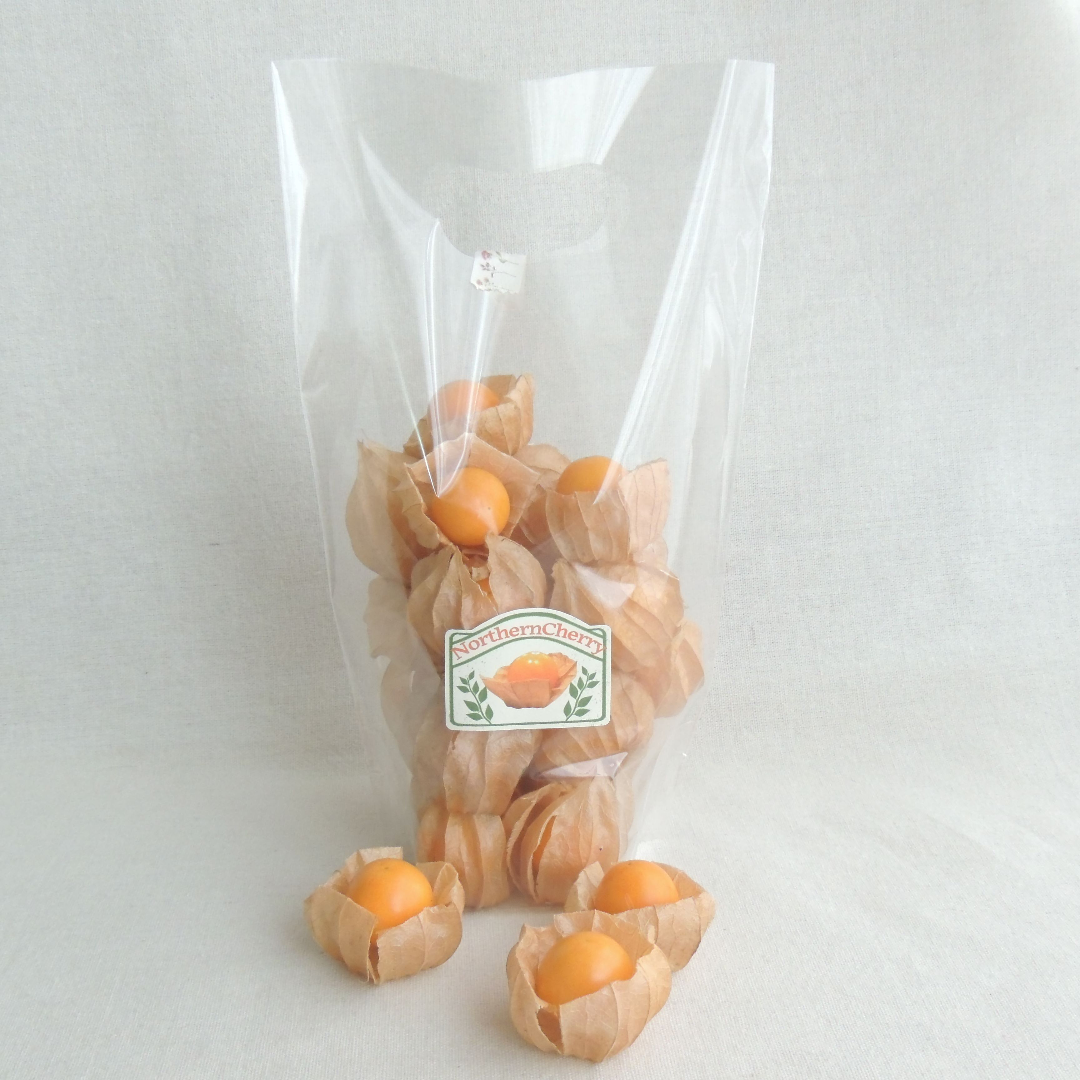 〈2025年度産〉NorthernCherry【フルーツほおずき】 20個入り