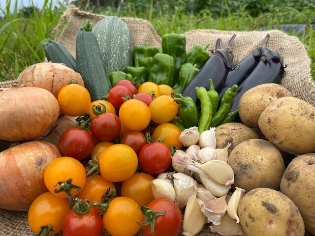 北海道！夏の自然栽培野菜セット(ファミリーパック)