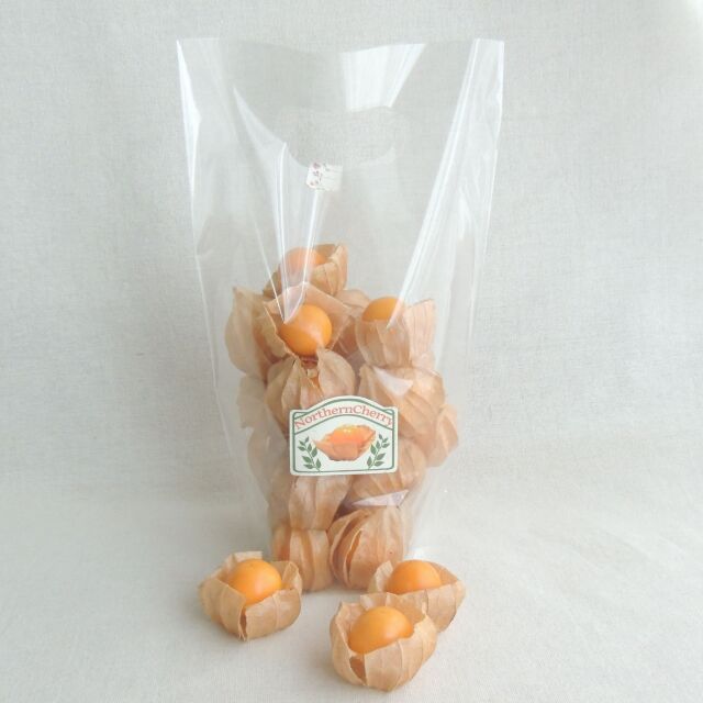 〈2025年度産〉NorthernCherry【フルーツほおずき】 20個入り