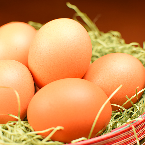 SEEDの平飼いたまご6個パック