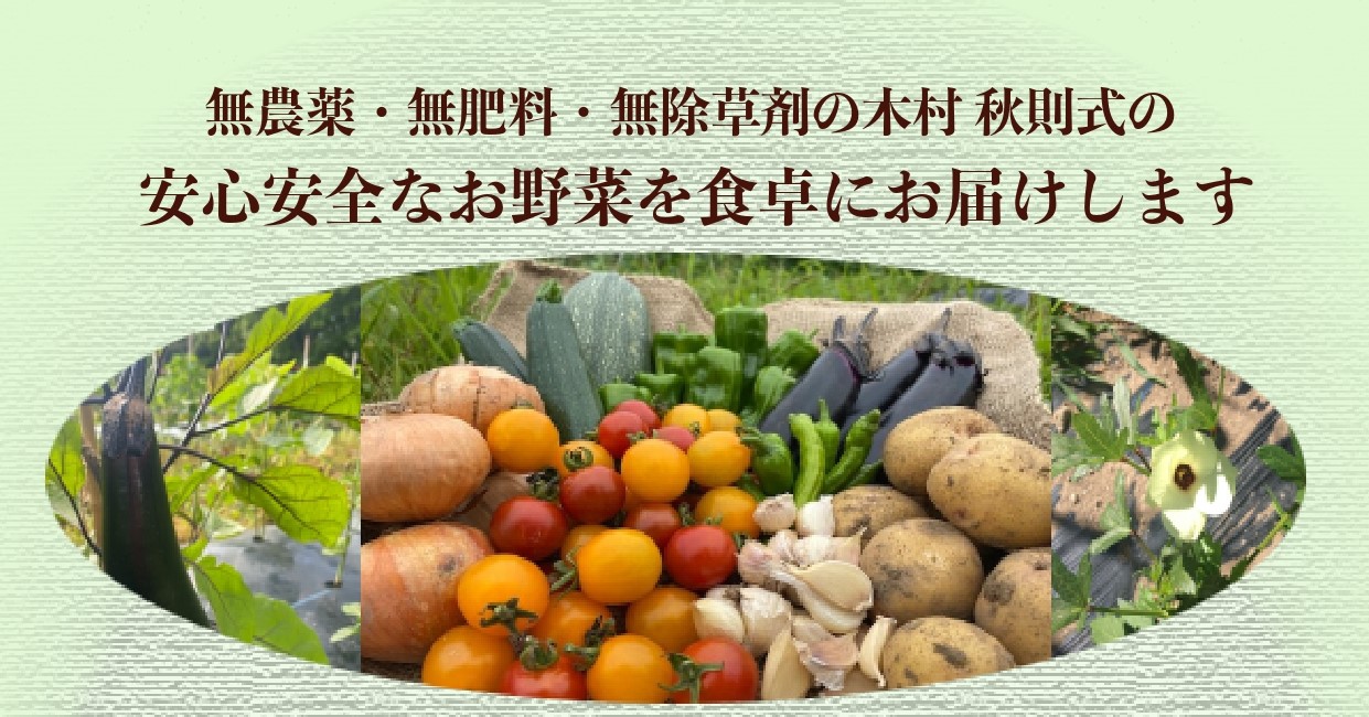 旬の採れたて野菜定期便 （7月～11月）