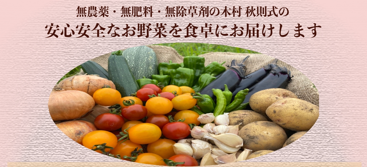 2026年 旬の採れたて野菜定期便 （7月～11月）