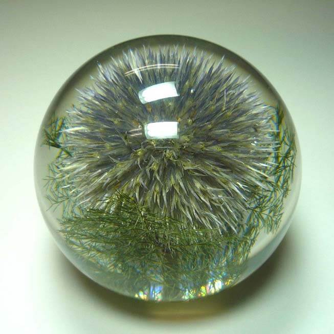 ハフォドグレンジ　HafodGrange　花文鎮フラワーペーパーウエイト　ポリエステル樹脂に本物の天然花　手作り