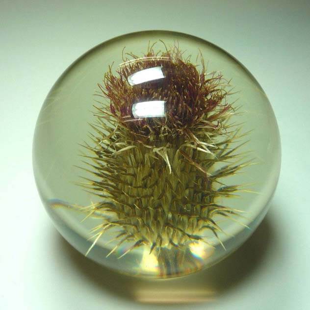 ハフォドグレンジ　HafodGrange　花文鎮フラワーペーパーウエイト　ポリエステル樹脂に本物の天然花　手作り