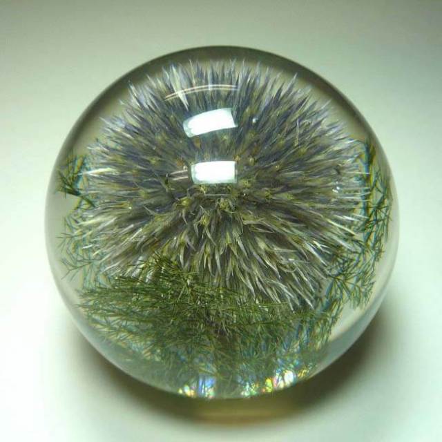 ハフォドグレンジ　HafodGrange　花文鎮フラワーペーパーウエイト　ポリエステル樹脂に本物の天然花　手作り