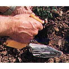 ペーター　PETA　園芸用品