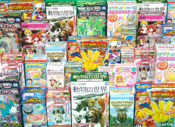 2s-bg038aki たまて箱パック