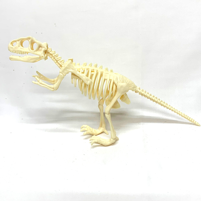 gc-789mag 組み立てパズル 化石恐竜 12入