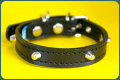 小型犬用Small Type 001(8mm傘鋲)Light