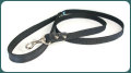 PPLead 001