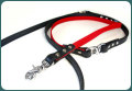 PPLead 006