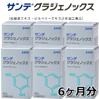 サンテグラジェノックス　6ヶ月分 商品画像