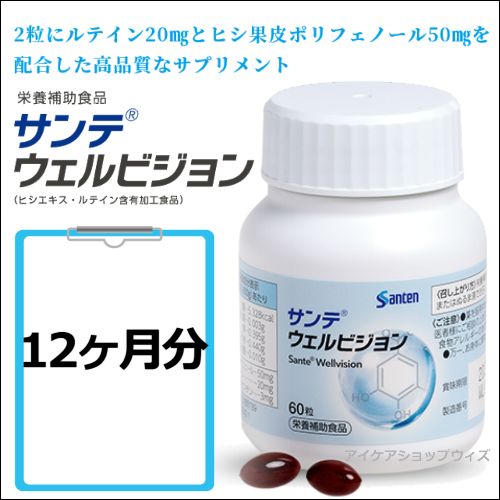 サンテウェルビジョン　12ヶ月分