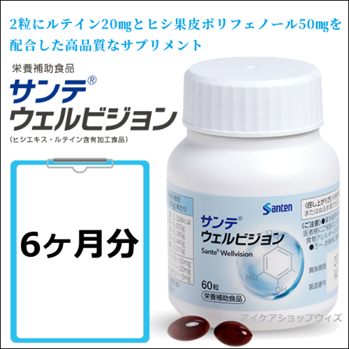 サンテウェルビジョン　6ヶ月分